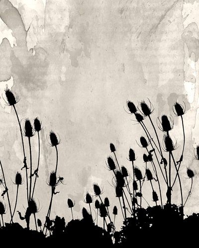 Flower Meadow Cottage Kernstijl