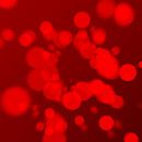 Red Circles by Jörg Hausmann thumbnail