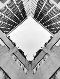 Brutalist Dream 09 von Fernando Vieira