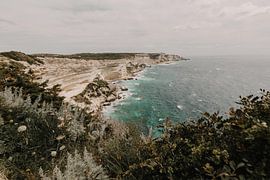 Botanical coastline by Voorbeeld Fotografie