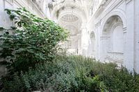 White church reclaimed by nature