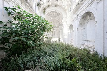 White church reclaimed by nature by Times of Impermanence