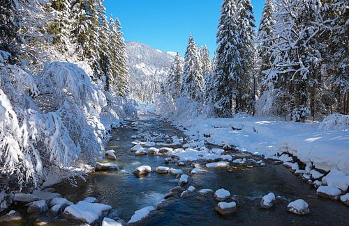 verschneite Winterlandschaft an der Weissach in Kreuth, Oberbaye