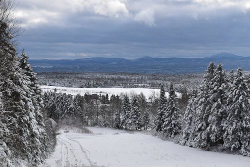 Het recreatieterrein in de winter