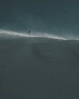 Ski tourers & bird on windy ridge in the morning sun