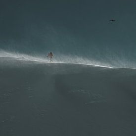 Skitourers & vogel op winderige bergkam in de ochtendzon van Lukas Schulz