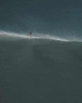 Skitourers &amp; vogel op winderige bergkam in de ochtendzon van Lukas Schulz