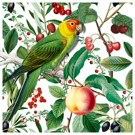 The Fruit Garden Parakeet by Marja van den Hurk