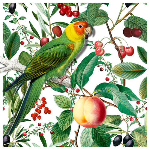 The Fruit Garden Parakeet by Marja van den Hurk