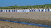 Texel Strandhuisje  van Elfriede de Jonge Boeree thumbnail