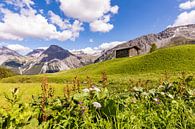 Hut in Arosa in Zwitserland van Werner Dieterich thumbnail