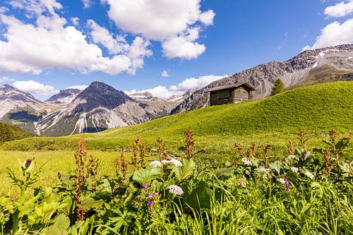 Hut in Arosa in Zwitserland