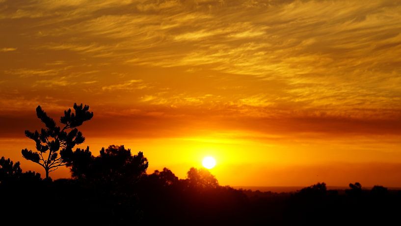 Le ciel semble en feu par Frank's Awesome Travels