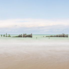 Mussel poles, the silent watch on the Opal Coast by Claire van Dun