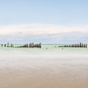 Muschelpfähle, die stille Wache an der Opalküste
