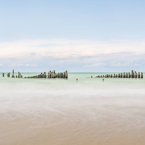 Muschelpfähle, die stille Wache an der Opalküste von Claire van Dun