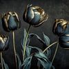 Tulipes nocturnes sur Preet Lambon