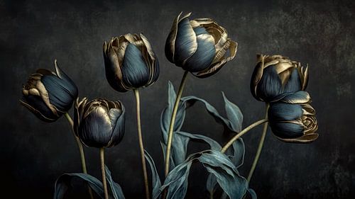 Tulipes nocturnes sur Preet Lambon