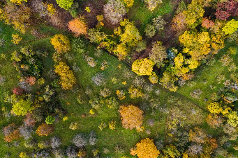 Orchard meadow on the Swabian Alb by Werner Dieterich