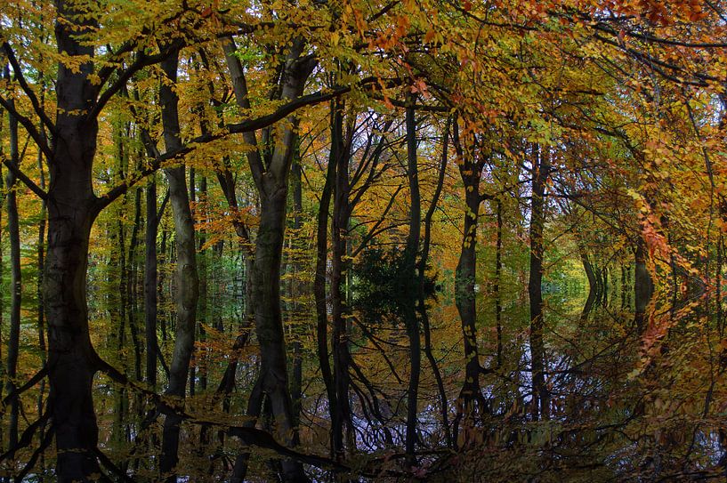 Lac de forêt 3 par Edgar Schermaul