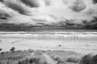Nederlands strand (Petten, N-H) van Peter Baak thumbnail