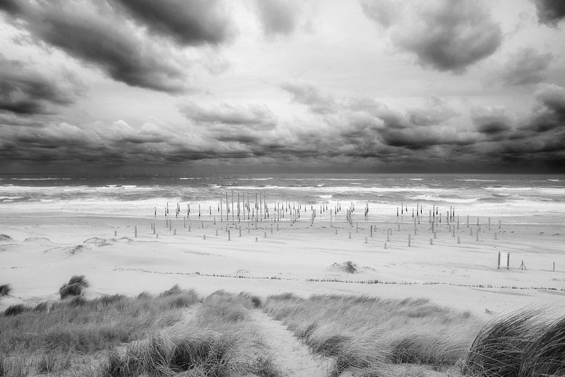 Nederlands strand (Petten, N-H) van Peter Baak