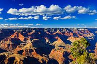 Grand-Canyon-Nationalpark, Arizona von Henk Meijer Photography Miniaturansicht
