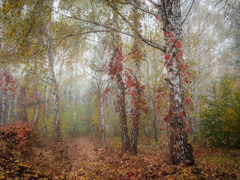 Die Zerbrechlichkeit von Vladyslav Durniev