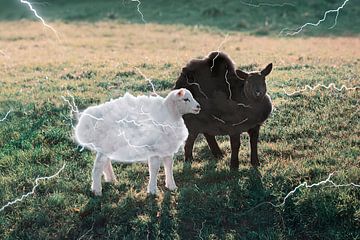 Surrealistisch Landschap: Lammetjes met Donderwolkjes in Paarse Heide van Elianne van Turennout