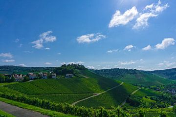 De wijngaarden van Stuttgart van Andreas Marquardt