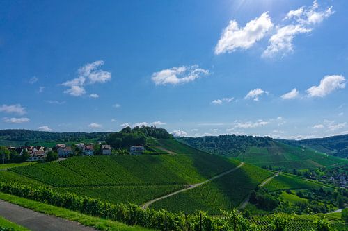 green hills below a blue summer sky