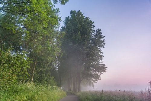 Zonsopkomst in het Steinse Groen, Gouda