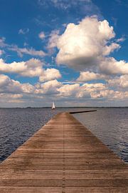 Der Zuidlaardermeer von Alexander van der Molen