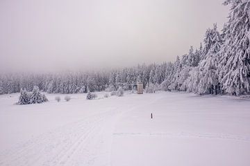 Langlaufen in het besneeuwde Thüringer Woud bij Floh-Seligenthal - Thüringen - Duitsland van Oliver Hlavaty