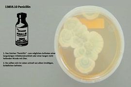 Penicillin 13859.10