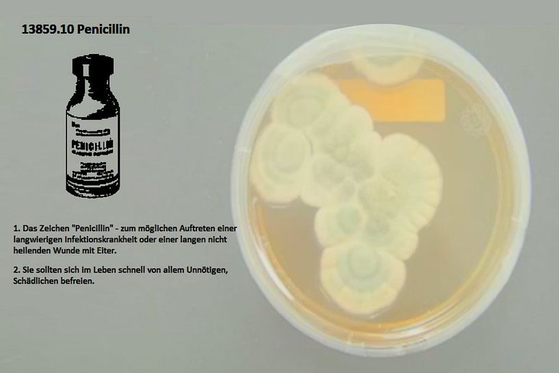 Pénicilline 13859.10 par Vladimir Zykunov