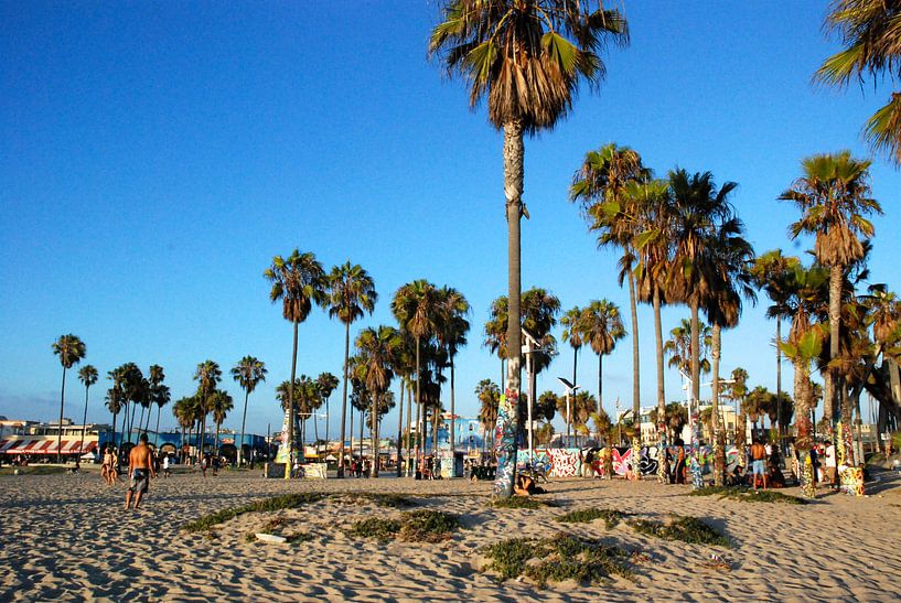 Venich Beach, California by Samantha Phung