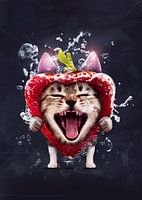 Funy Meme Cat With Strawberry