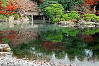 Japanese garden in autumn atmosphere with green water