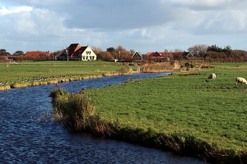 Polder op Terschelling