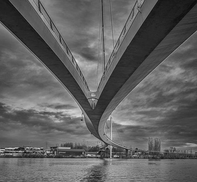 Nescio bicycle bridge by Peter Bartelings