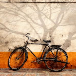 a Bike in Autumn