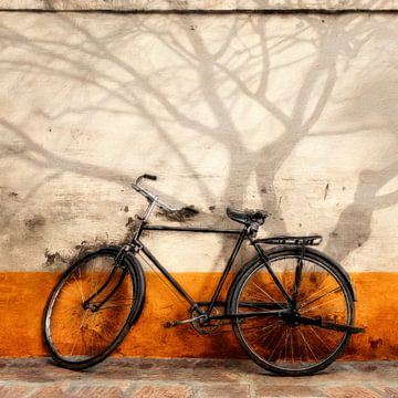 a Bike in Autumn van Marja van den Hurk