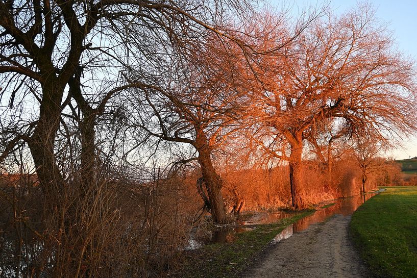 Winter evening atmosphere, with high water by Christoph Leimer