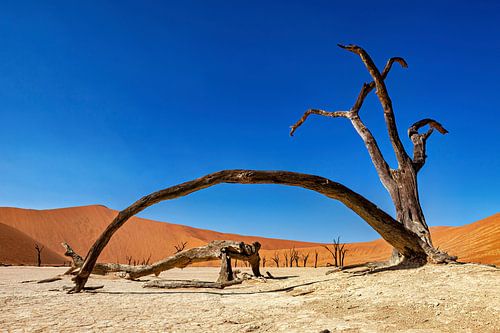 Le Deadvlei en Namibie