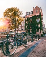 Cycle on a bridge over the canal in Amsterdam at sunset with ivy house in the background