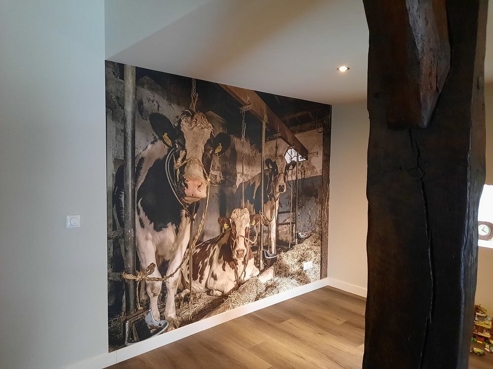 Les vaches du fermier Klein  par Inge Jansen 