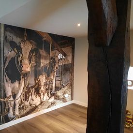 Klantfoto: De koeien van boer Klein van Inge Jansen, als behang