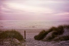 Silence dans la matinée sur Claudia Moeckel