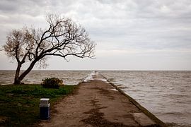 Jetée dans la mer Baltique